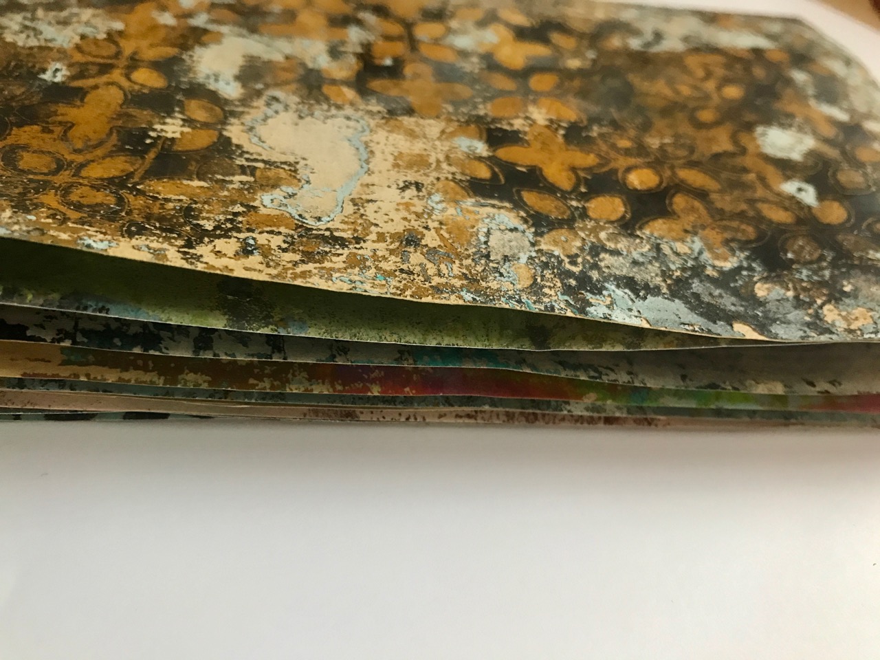 Newsletterfotos Feb22 - 19