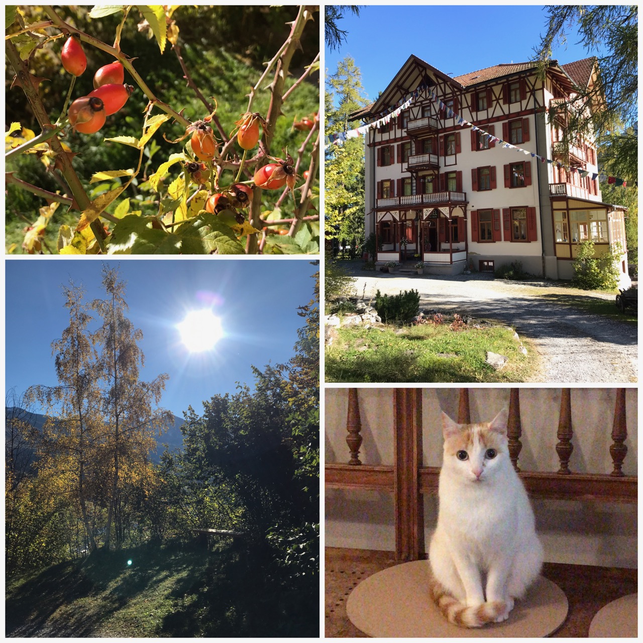Newsletterfotos Gelliplate - 2 (2)