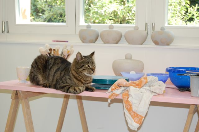 Sommerkatzen5